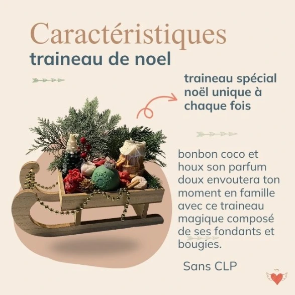 traineau maison.webp