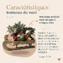 traineau maison.webp