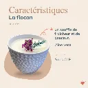 Flocon - caractéristiques.png