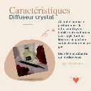 love family-ite web- diff  couronne de gui.webp