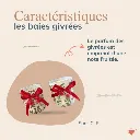 lovefamily-site web- fruitée.webp