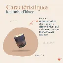 lovefamily-site web- hiver.webp