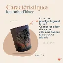 lovefamily-site web- hiver xl.webp