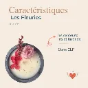 lovefamily-site web-iris.webp