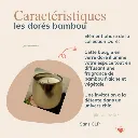 lovefamily-site web- bambou.webp