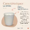 Lovefamily-White-site web.webp